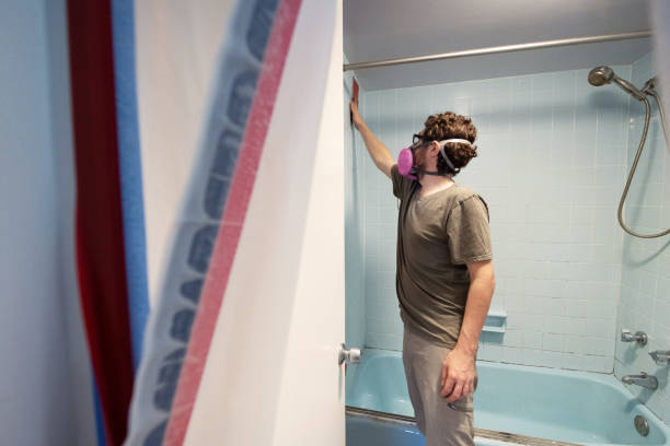 Best Attic Mold Removal  in Methuen Town, MA