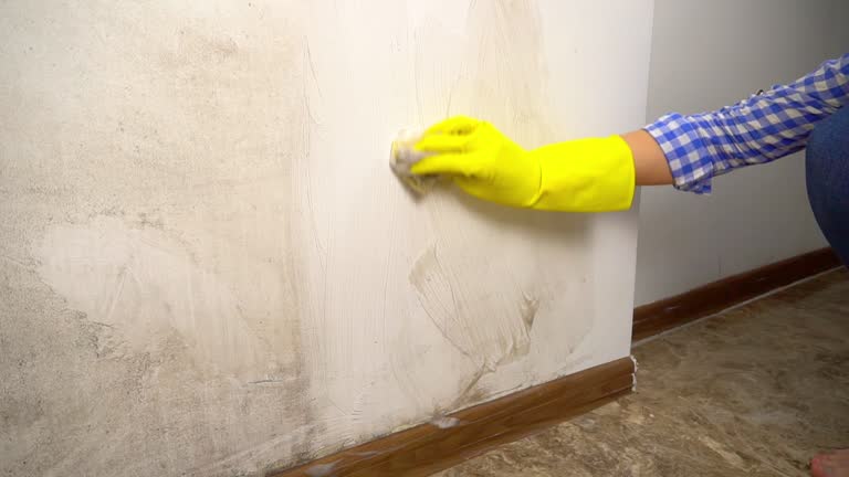 Best Forensic Mold Investigation  in Methuen Town, MA