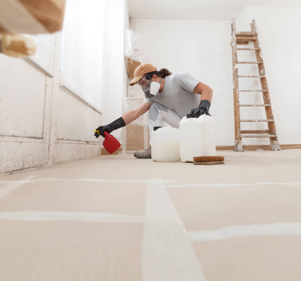 Best Environmental Consulting for Mold Prevention  in Methuen Town, MA
